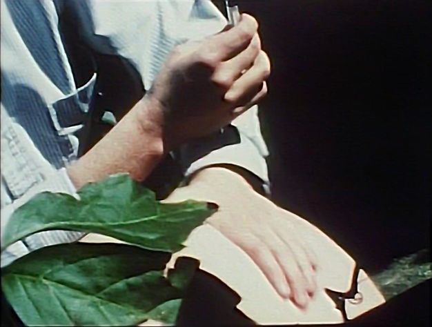 Colour film still. Close-up view of a man's arm and hand next to several green leaves. He wears a dark tie, blue and white striped shirt, while holding a cream sheet in his left hand and something in his right hand.
