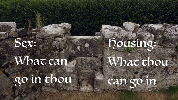The text \"Sex: What can go in thou\" and \"Housing: What though can go in\" is rendered in a gothic font on top of a low stone wall.