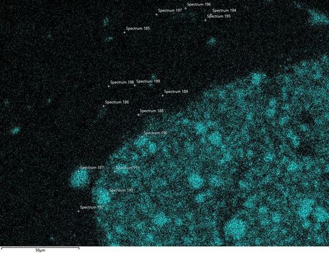 Colour photograph. A black and blue textural image with the appearance of a microscopic scientific study. Throughout the image various areas are labelled with the word ‘Spectrum’ and followed by different numbers. In the lower left is the number 50.