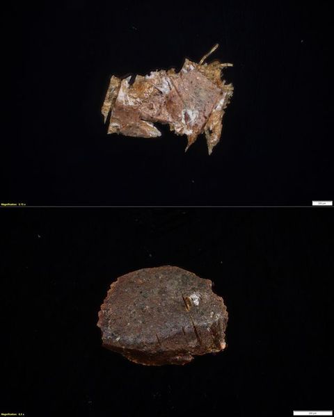 A composite image, showing two photographs of paint samples. The first photograph shows a jagged pink and white paint fragment. The second photograph shows a round and slightly pitted brown fragment.