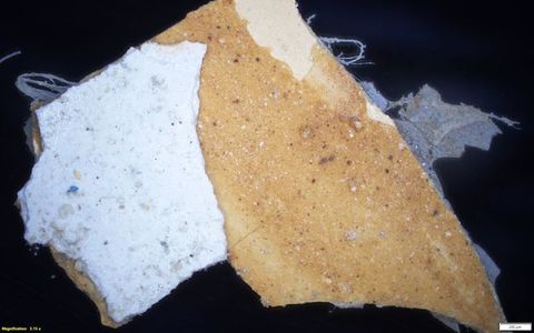 Colour photograph. Magnified photograph of a rock or mineral in white and beige, showing a close-up view of its surface and texture against a black backdrop. On the lower left yellow text reads, ‘Magnification: 3.15 x’. On the right, a small white rectangle bears the number 200.
