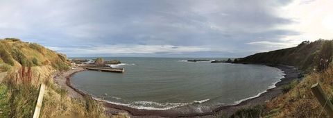Colour photograph. A panoramic view of a beach, looking out to the ocean and sky beyond. Rough, green grass and rocks can be seen on either side of the image beyond the beach. On the left of the beach, a jetty can be seen leading out into the water.
