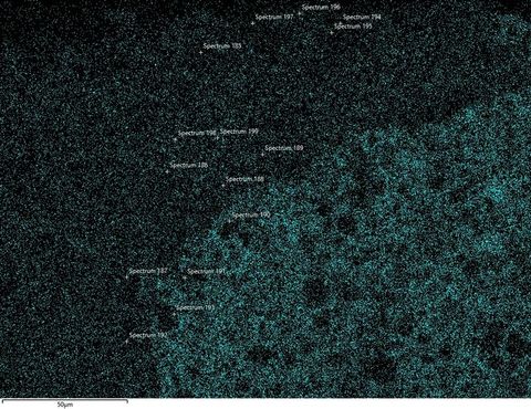 Colour photograph. A black and blue textural image with the appearance of a microscopic scientific study. Throughout the image various areas are labelled with the word ‘Spectrum’ and followed by different numbers. In the lower left is the number 50.