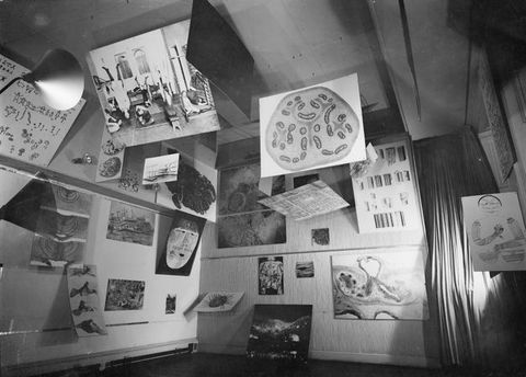 Black and white photograph. A small space is crowded with various works of art arranged suspended, pinned to the wall, or leaning from an angle. To the left of the image, a small doorway is closed off by a curtain.